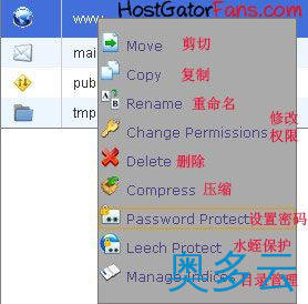 11、逐步讲解HostGator鳄鱼主机的DNS与文件管理方法 - 奥多云
