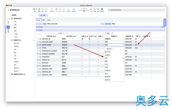 15、国产开源数据库设计工具chiner(PowerDesigner替代软件) - 奥多云