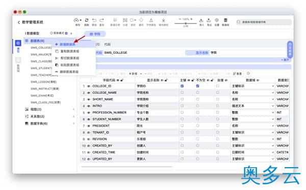 16、国产开源数据库设计工具chiner(PowerDesigner替代软件) - 奥多云