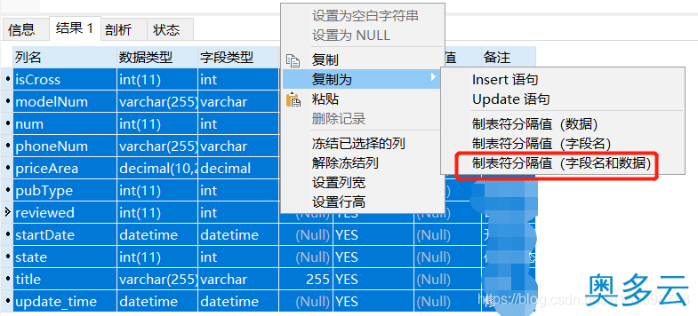 3、利用Navicat Premium导出数据库表结构信息至Excel的方法 - 奥多云