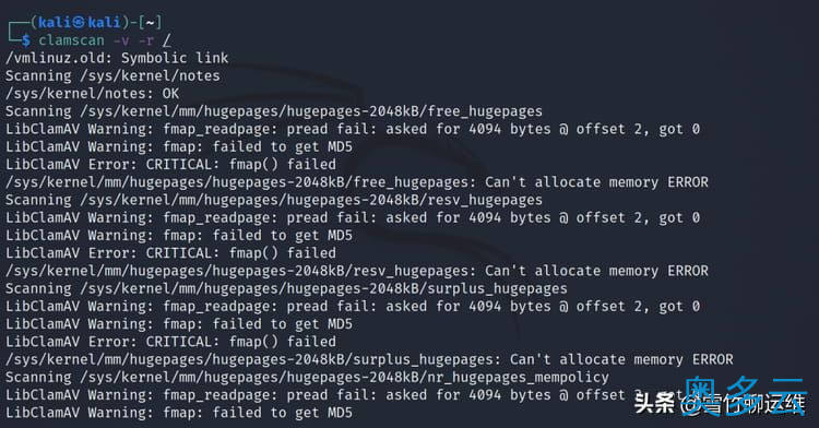 5、扫描 Linux 服务器是否存在恶意软件和安全漏洞的十种优秀工具 - 奥多云