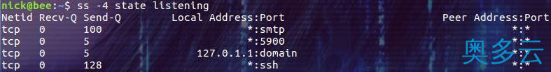 10、linux ss命令详解 - 奥多云