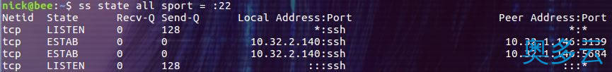 13、linux ss命令详解 - 奥多云
