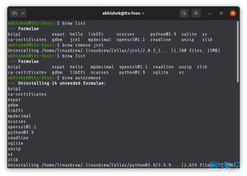 6、在 Linux 上安装和使用 Homebrew 包管理器 - 奥多云