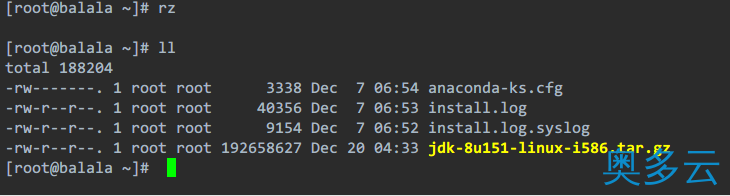 4、Linxu服务器上安装JDK 详细步骤 - 奥多云