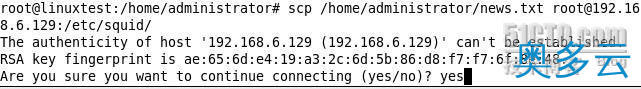 Linux scp命令用法及实例分享