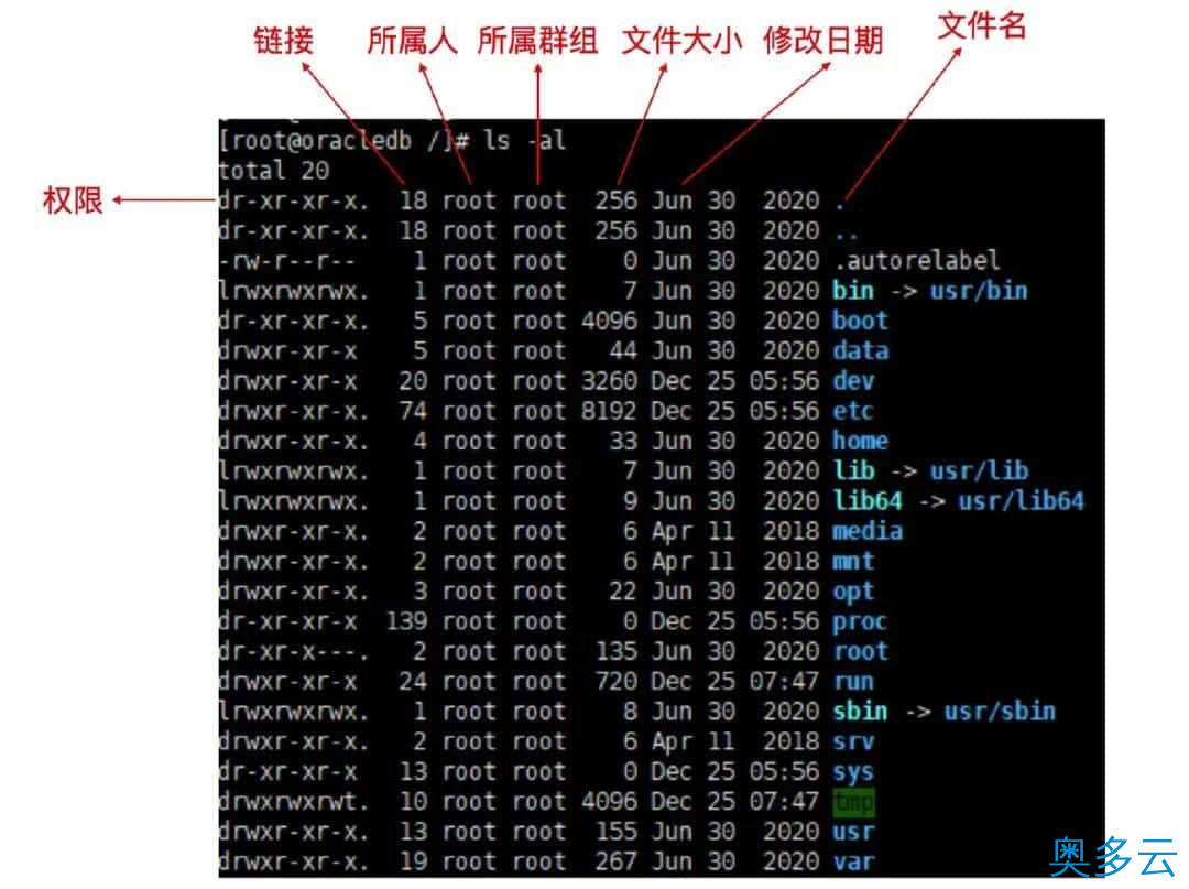 3、看完这篇 Linux 权限，通透了！ - 奥多云