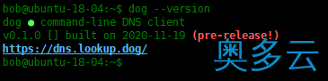 10、Dog-用于DNS查询的命令行工具 - 奥多云