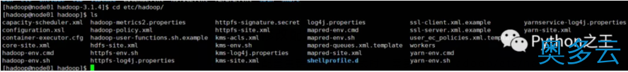 19、使用两台Centos7系统搭建Hadoop-3.1.4完全分布式集群 - 奥多云