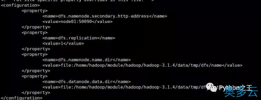 21、使用两台Centos7系统搭建Hadoop-3.1.4完全分布式集群 - 奥多云