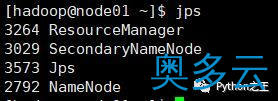 26、使用两台Centos7系统搭建Hadoop-3.1.4完全分布式集群 - 奥多云