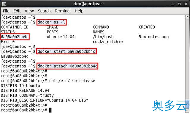 2、在CentOS或Fedora上运行Docker容器的方法与步骤 - 奥多云