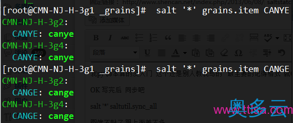 5、saltstatck module和grains讲解 - 奥多云
