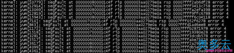 yum Segmentation fault